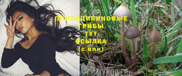 mix Нягань