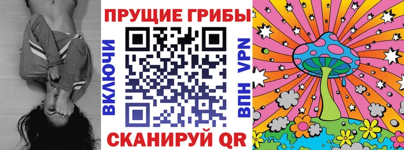 Галлюциногенные грибы Psilocybe Власиха